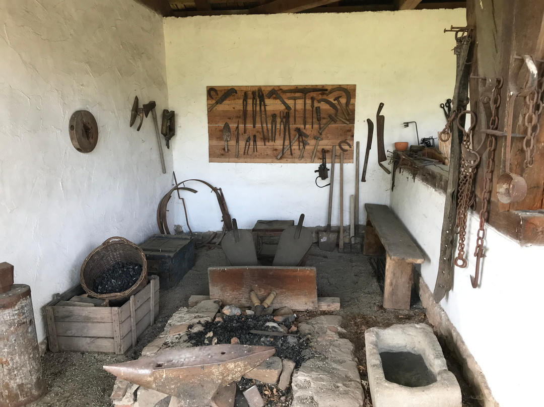 Roman Open Air Museum景点图片