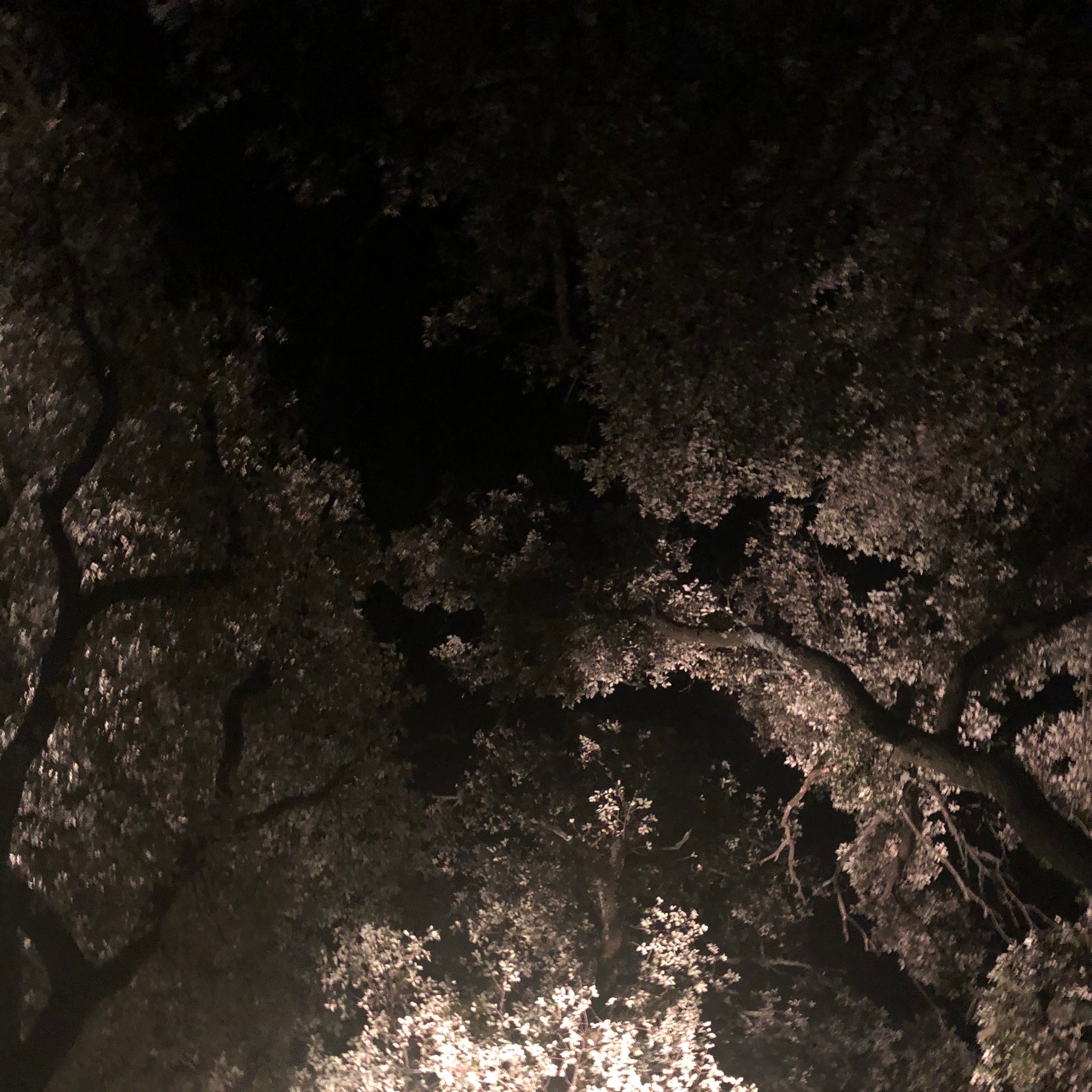 Les Champs de Provence-官方