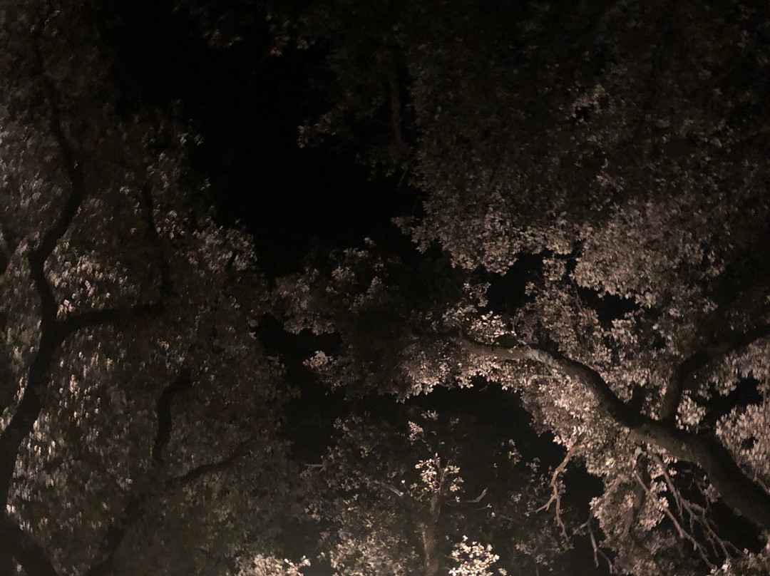 Les Champs de Provence主图