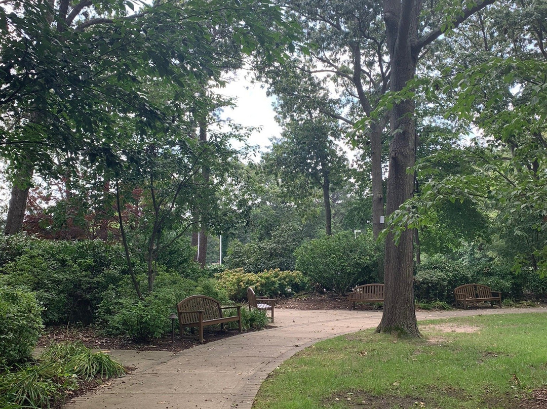 Sachem Public Library-Holbrook必去景点