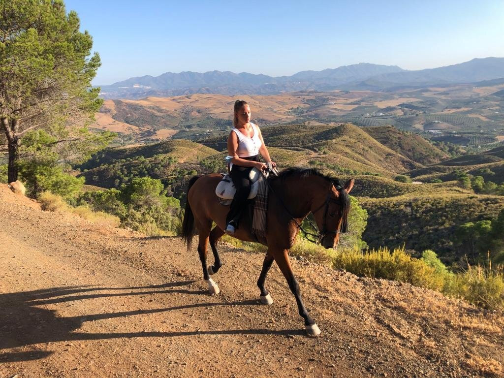 Cortijo el Chenil Caballos景点图片