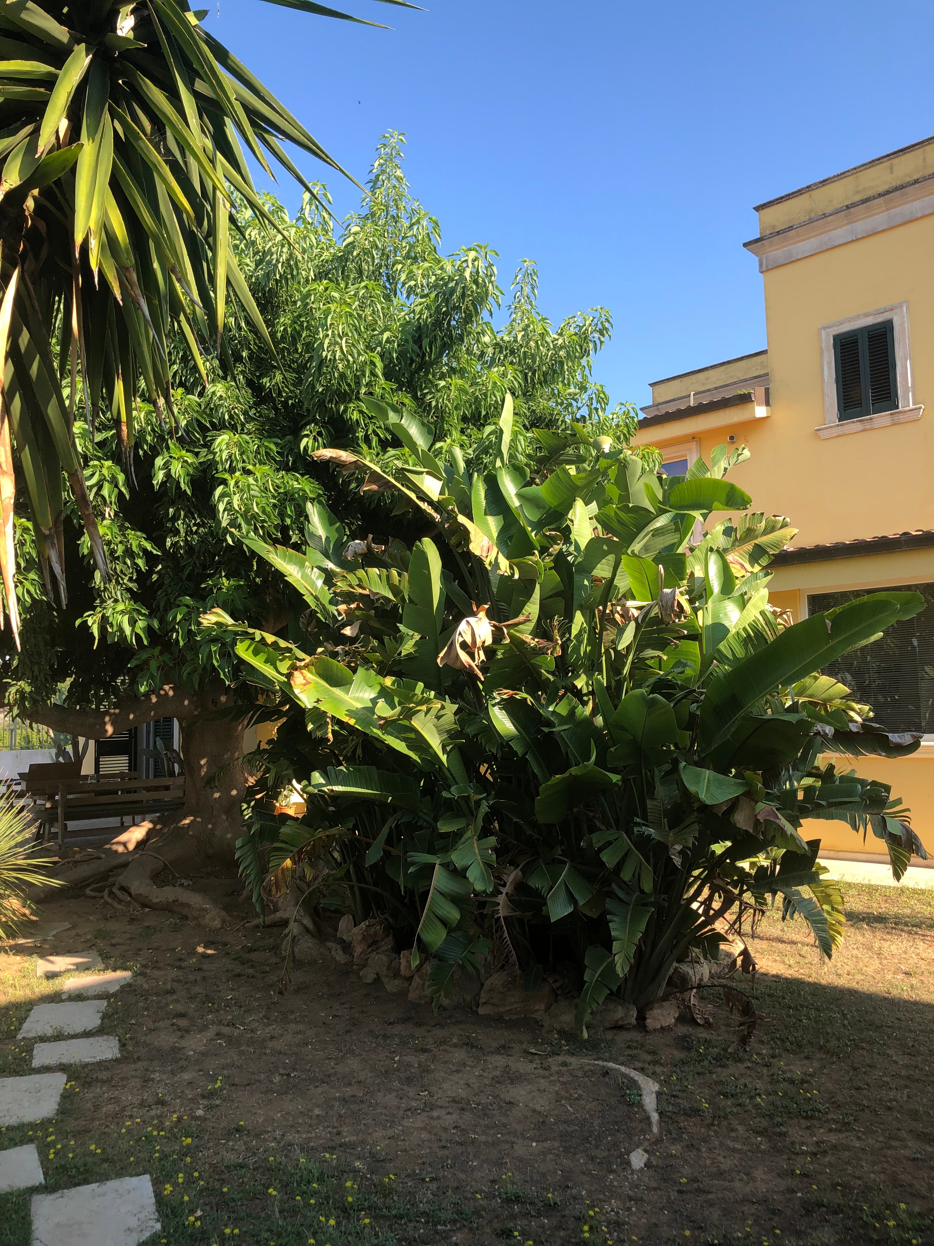 Casolare i Tre Ulivi-官方