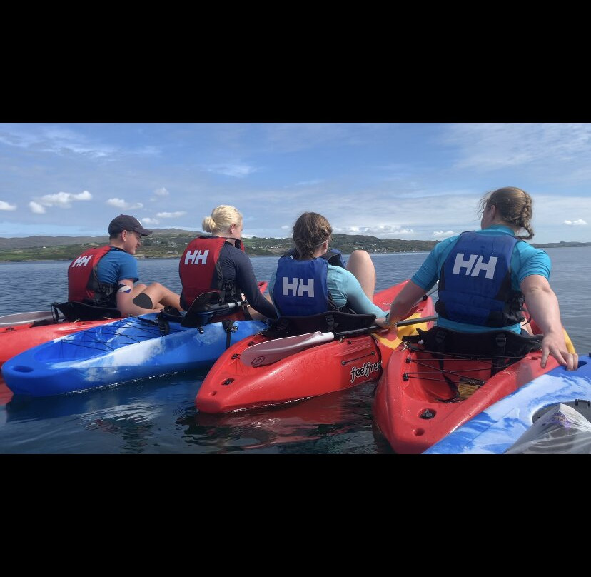 Schull Sea Safari-Schull必去景点