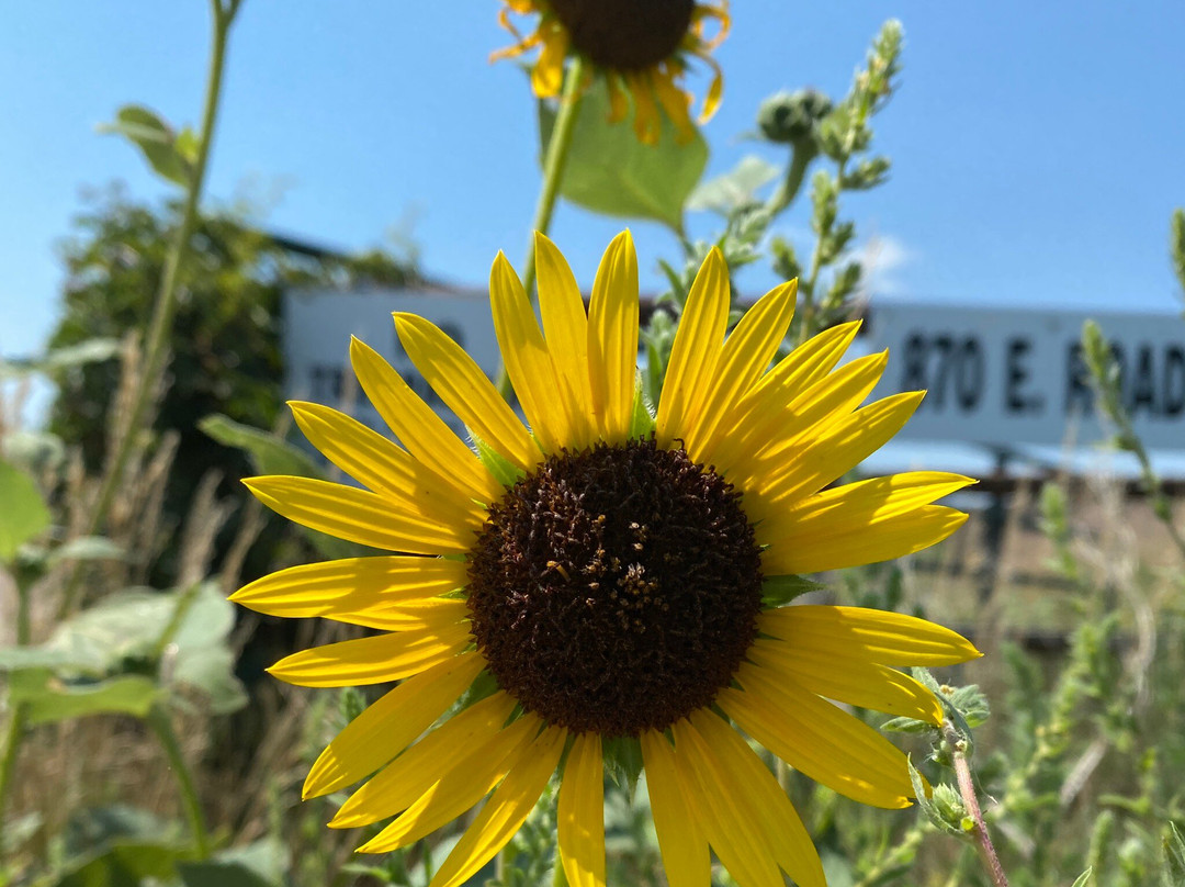 Nebraska National Forest-Halsey必去景点