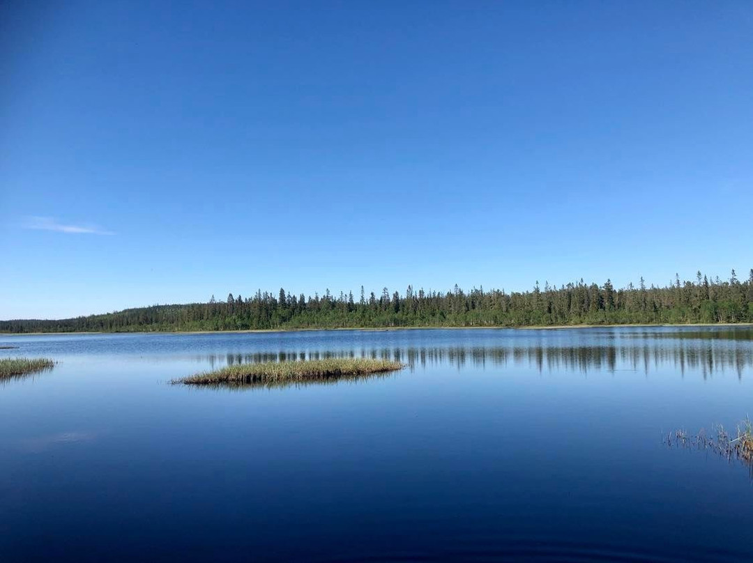 Hedmarksvidda Husky Tours-Brumunddal必去景点