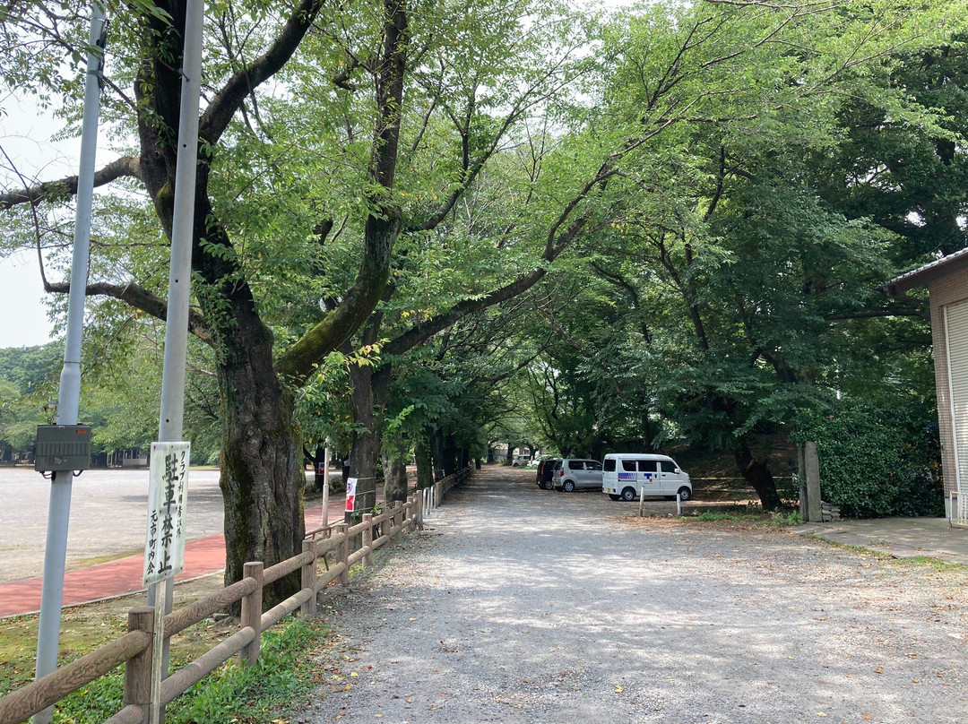 Konosu Park景点图片