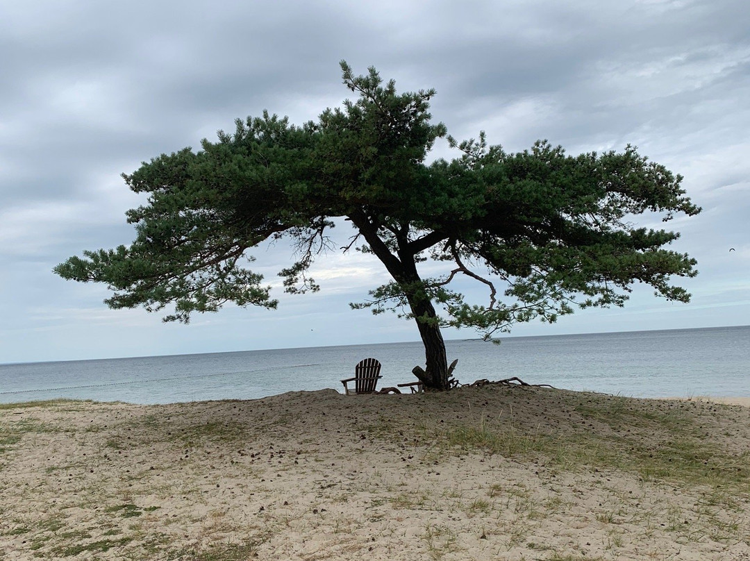 Vitemolla beach-Kivik必去景点