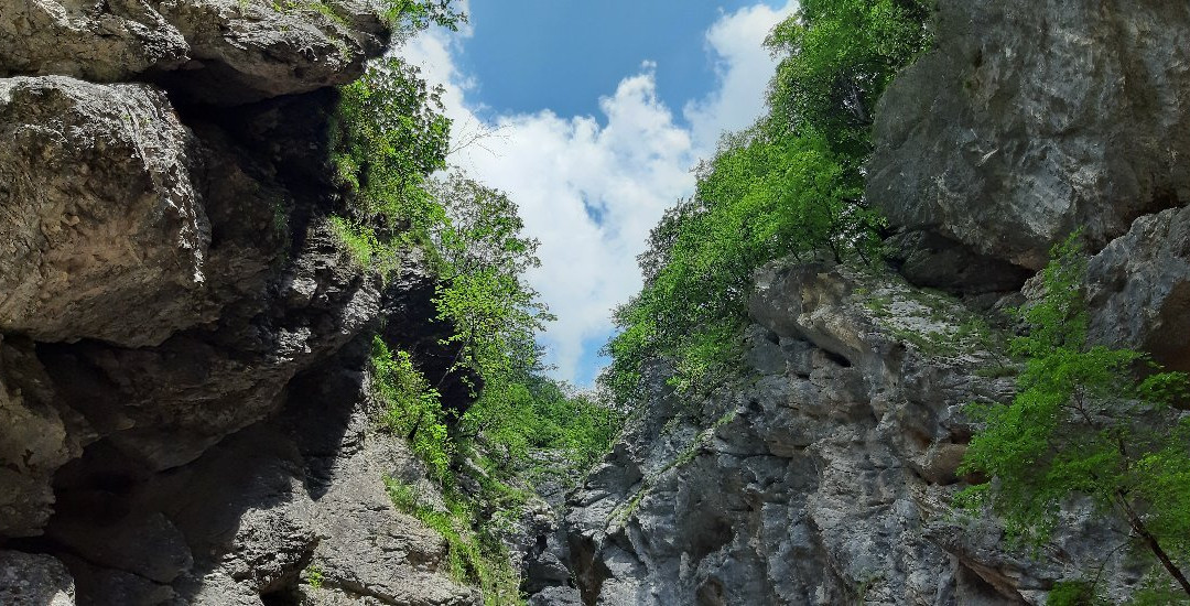 Mlinarica Gorge-Trenta必去景点