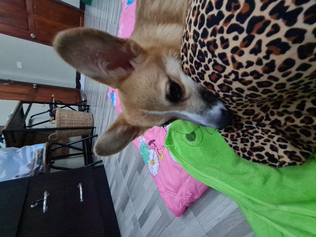 Kwai Noy River Park Resort主图