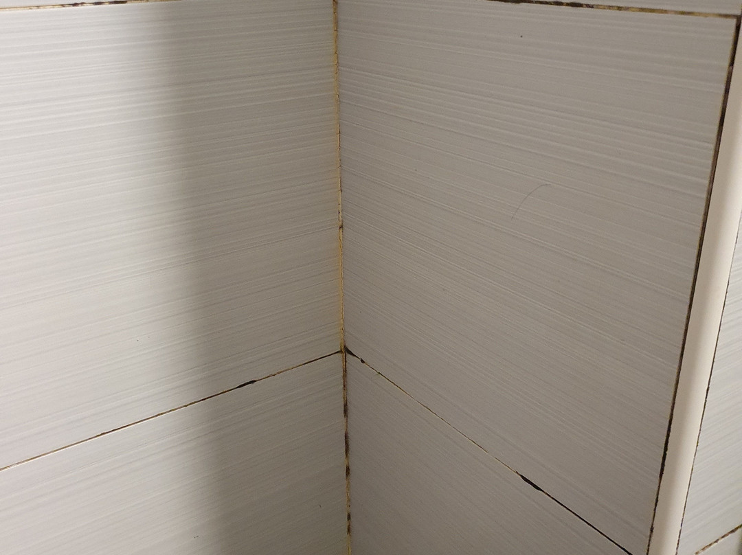 帕雷斯酒店主图