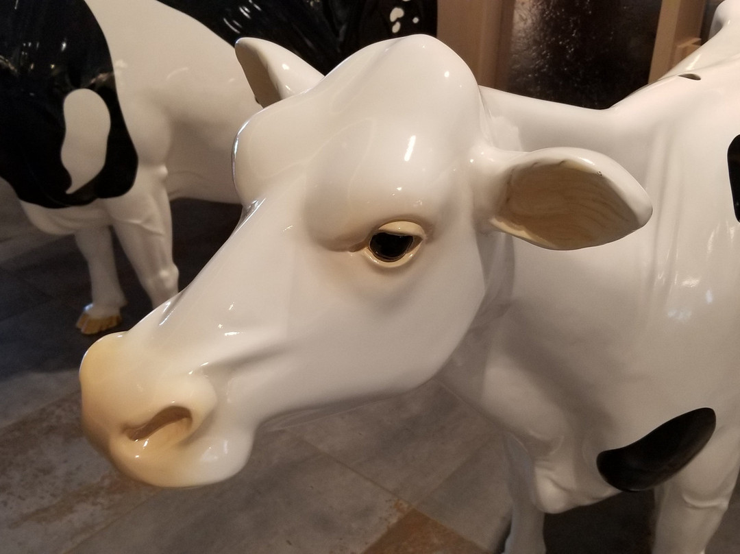 Fairfield by Marriott Inn & Suites Fair Oaks Farms主图