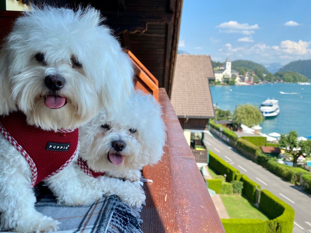 Hotel Margaretha主图