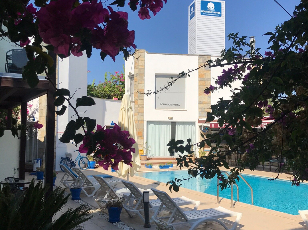 Cotton Boutique Hotel主图