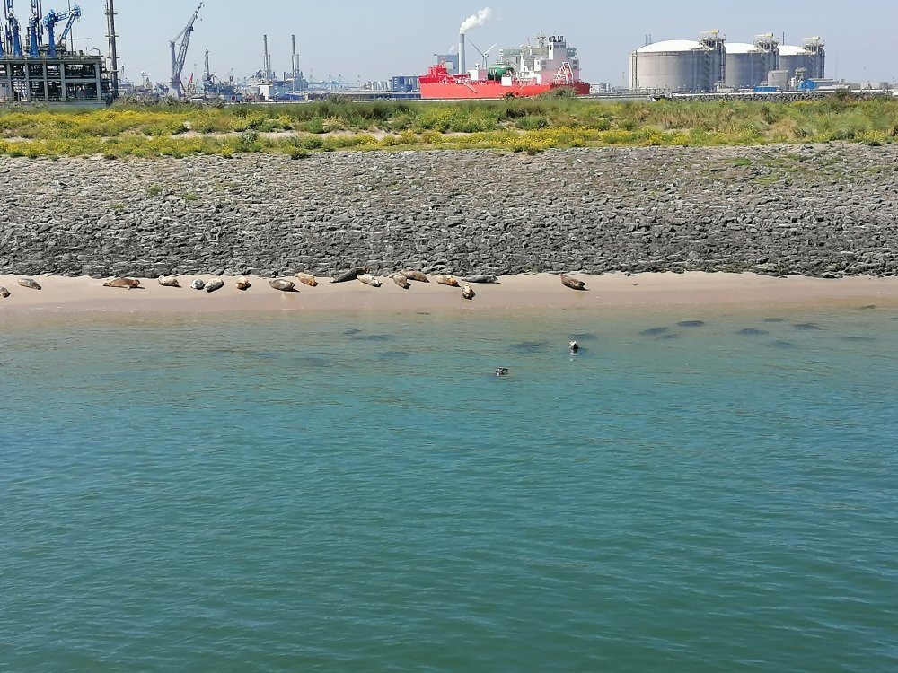 Rondvaart Europoort-Hoek van Holland必去景点