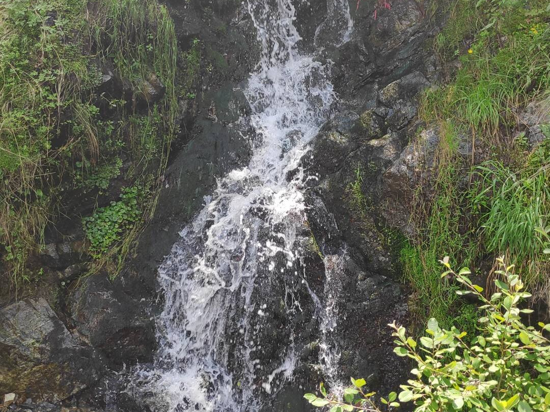Rudariei Watermills景点图片