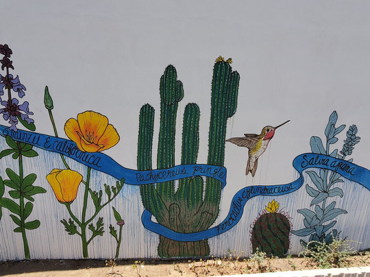 El Jardin De Tara-恩塞纳达必去景点