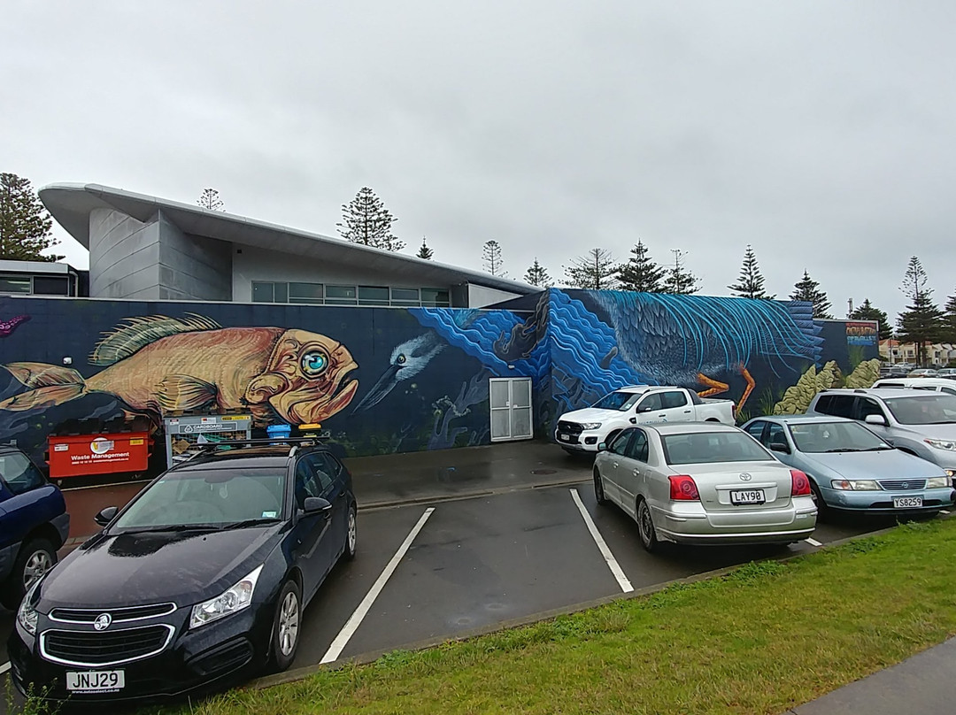 National Aquarium of New Zealand景点图片