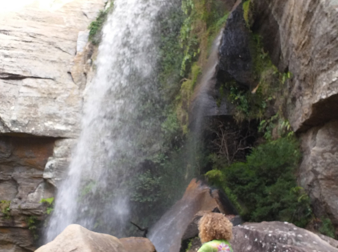 Cannyon e Cachoeira do Rio São Jorge-Ponta Grossa必去景点