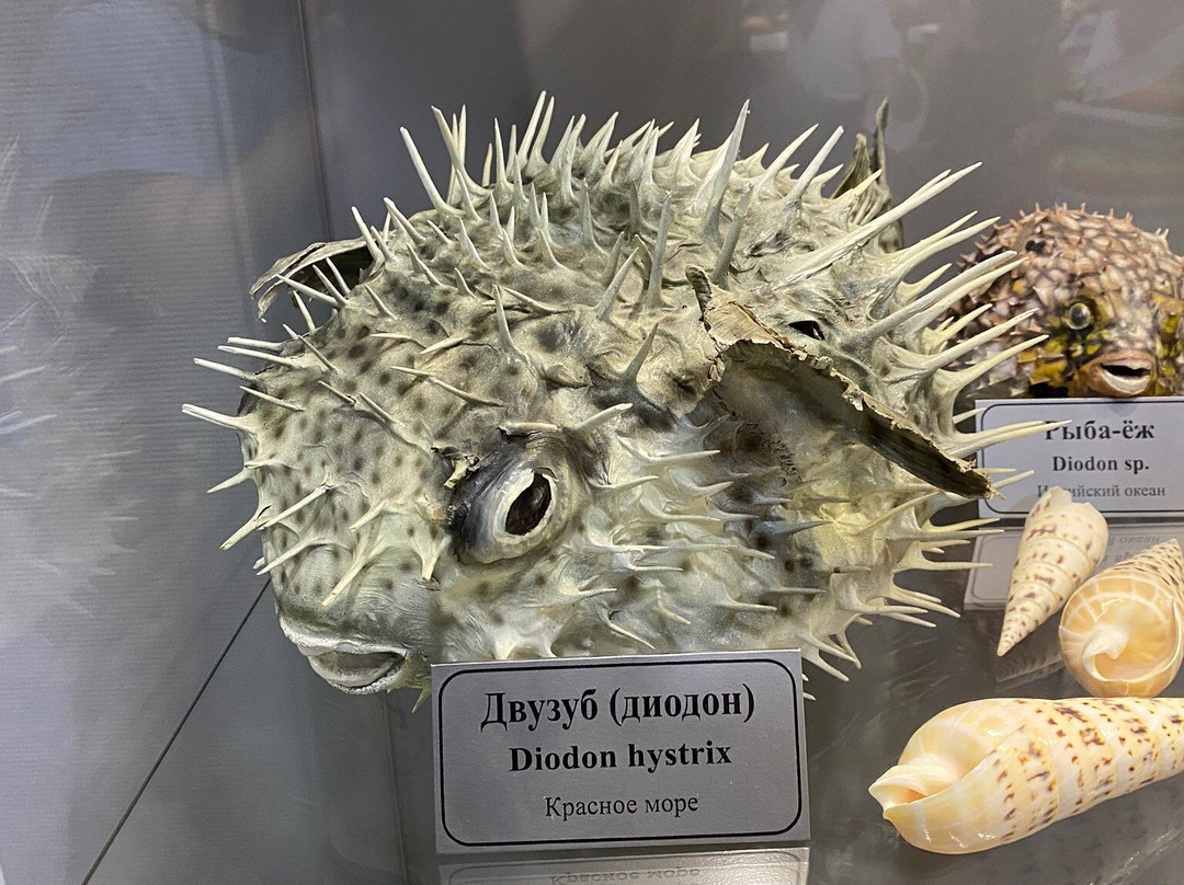 Sevastopol Aquarium-塞瓦斯托波尔必去景点