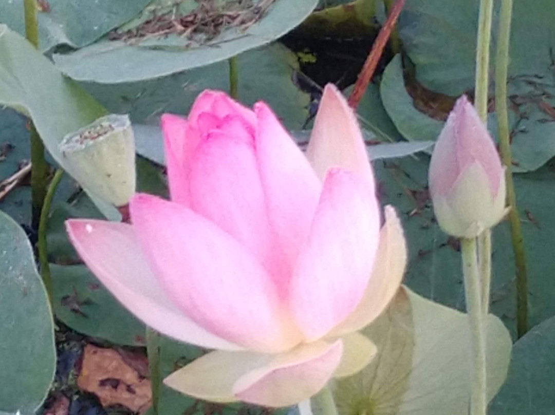 Inn At The Ridge主图