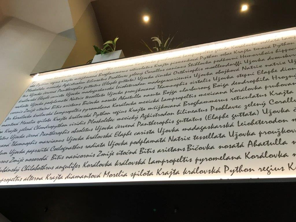 Hotel U Hada Žatec主图