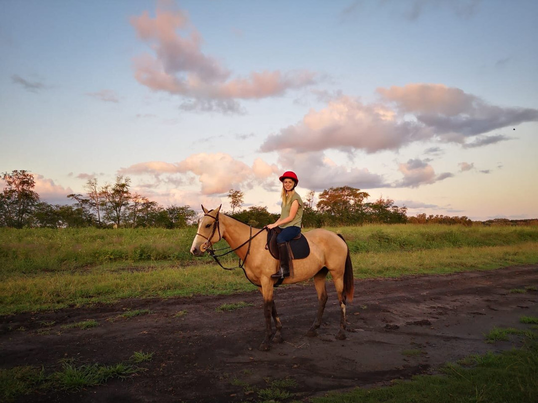 La Amistad Polo-Pilar必去景点