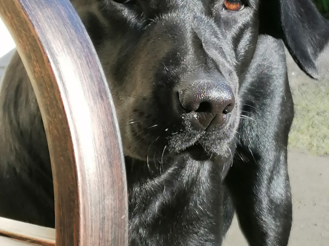 Broomfield House Bed & Breakfast主图