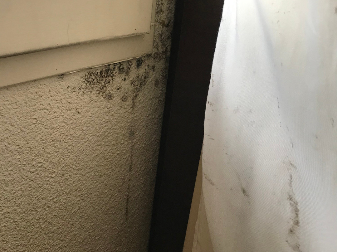 Hôtel Inn Design Poitiers主图