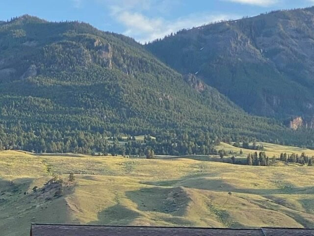 黄石村酒店主图