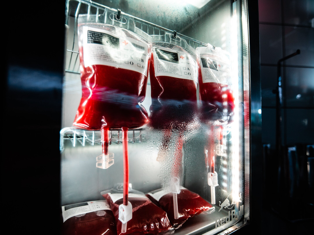 Asylum Gold Coast-黄金海岸必去景点