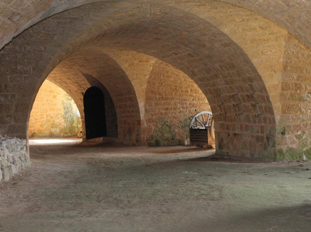 Fort de Troyon景点图片