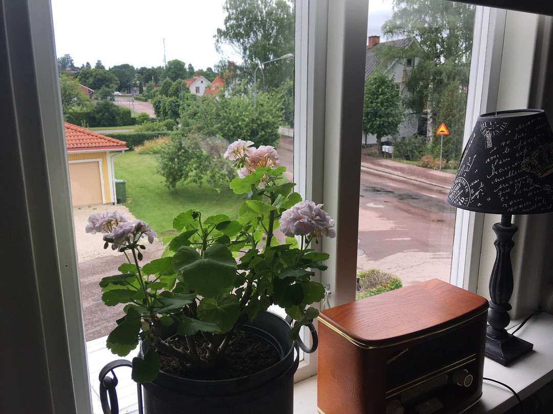 Gröna Lena