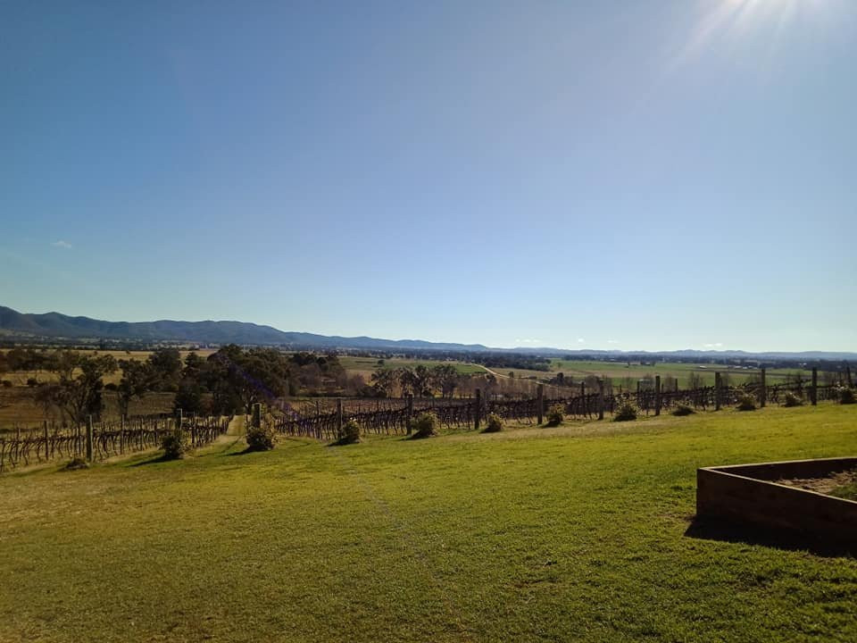 First Ridge Wines-马奇必去景点