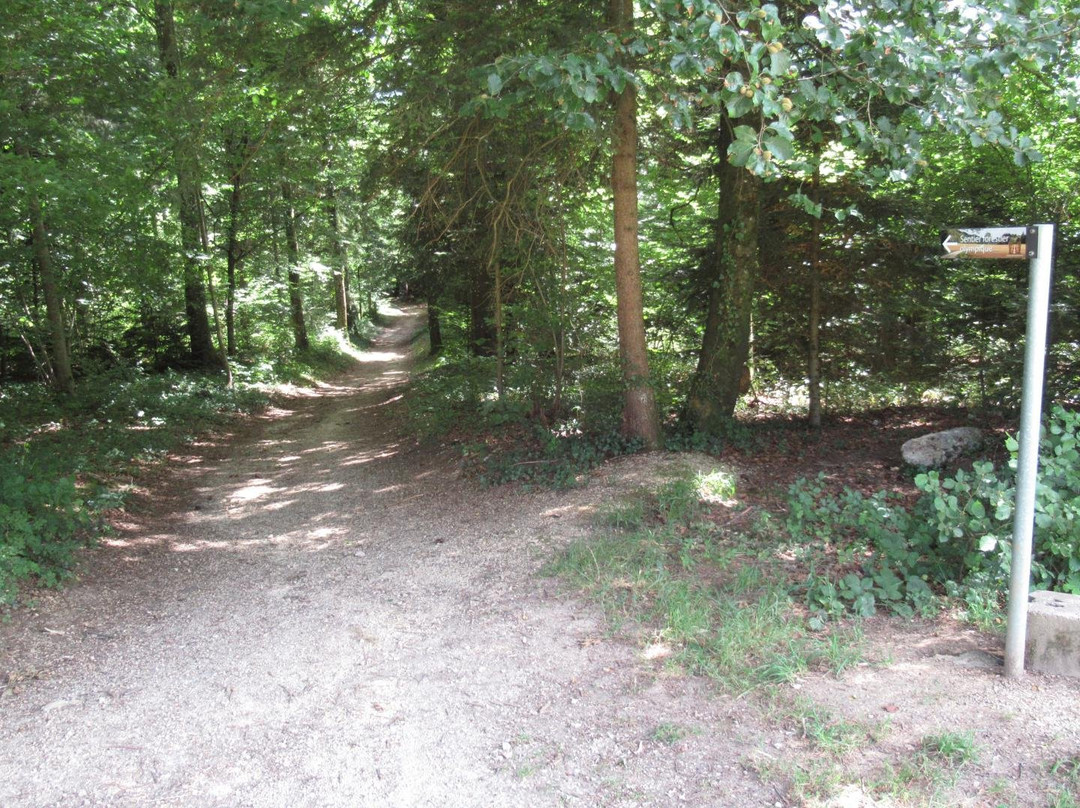 Le Sentier Forestier Olympique-德莱蒙必去景点