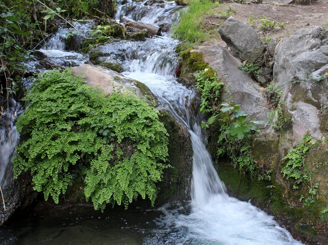 Sendero Rio Cerezuelo-卡索拉必去景点