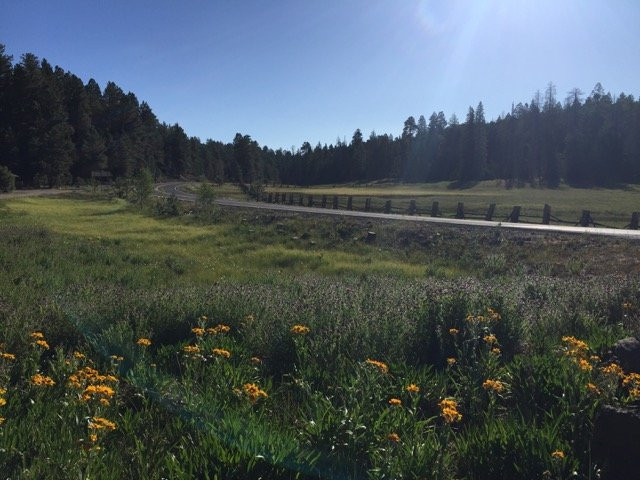 Hannagan Meadow Lodge主图