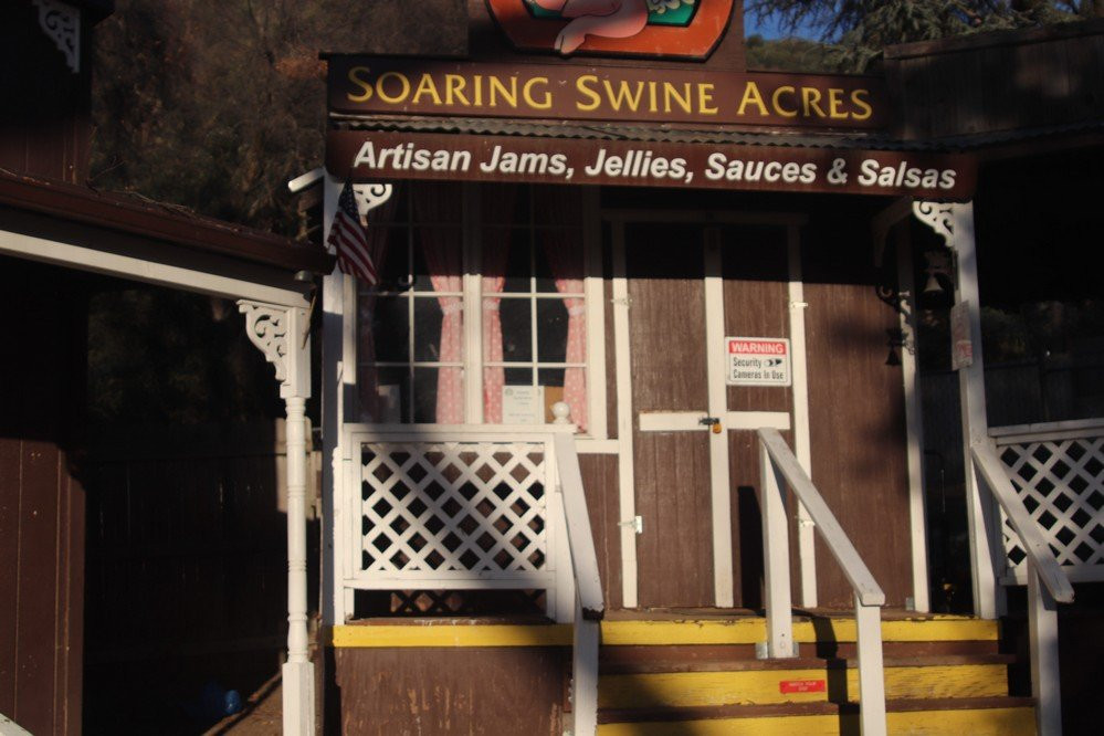 Oak Tree Mountain-Oak Glen必去景点