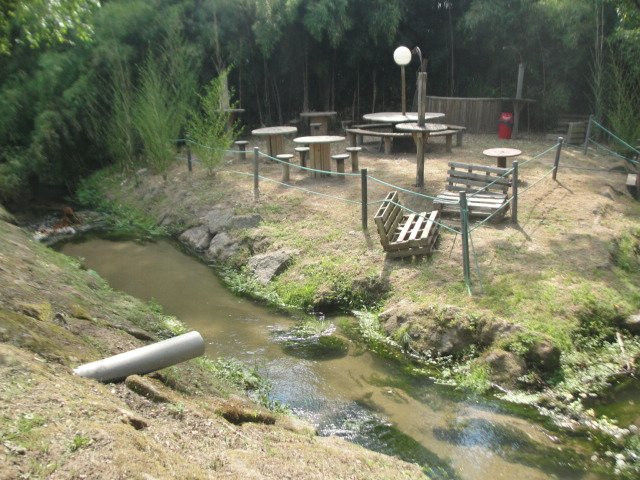 Parque da Cidade de Paredes景点图片