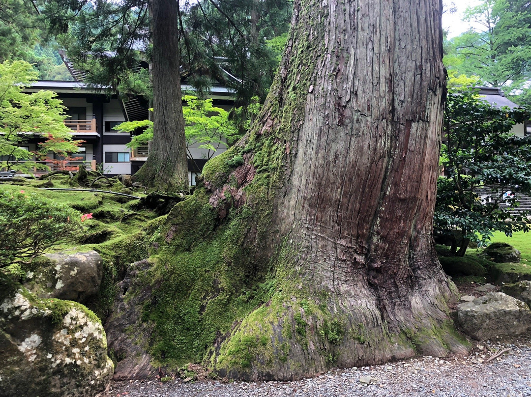 Eiheiji Temple Inn主图
