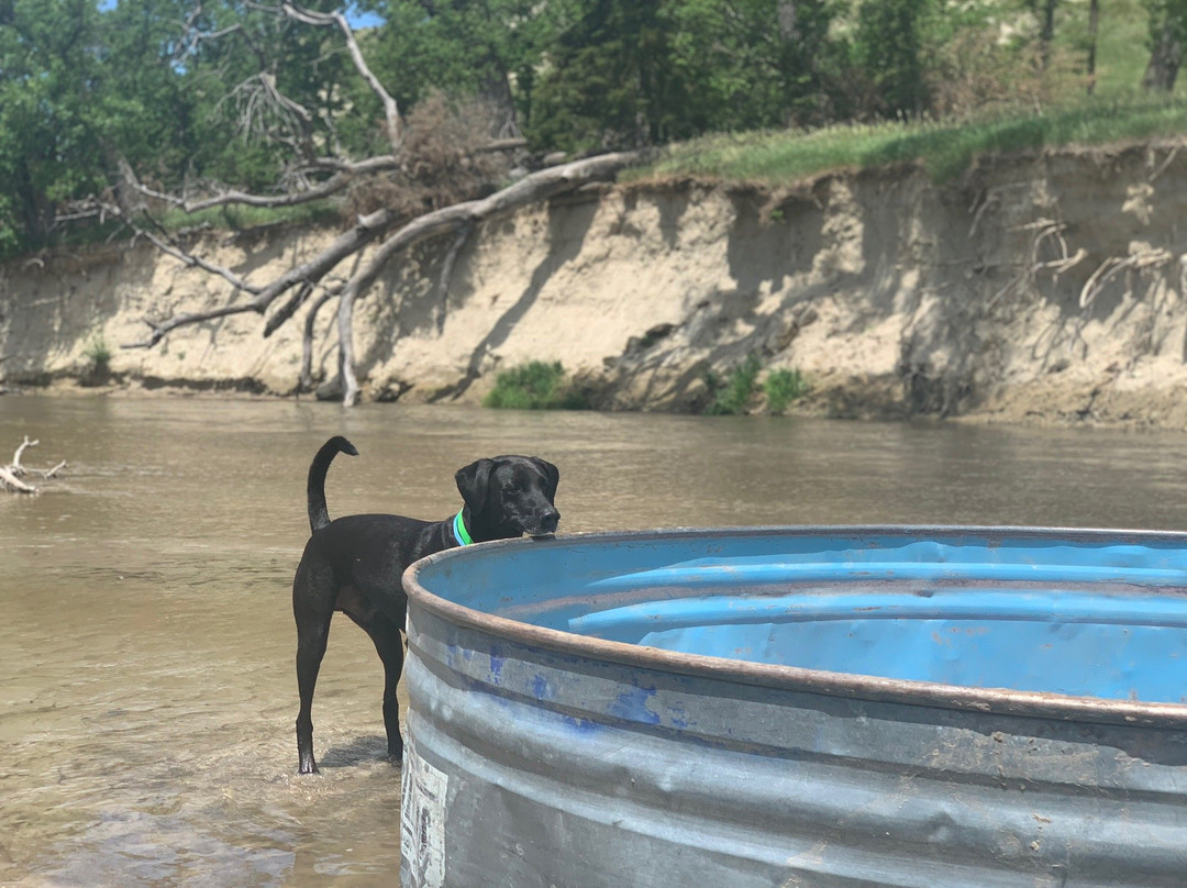 Mullen旅游攻略图片