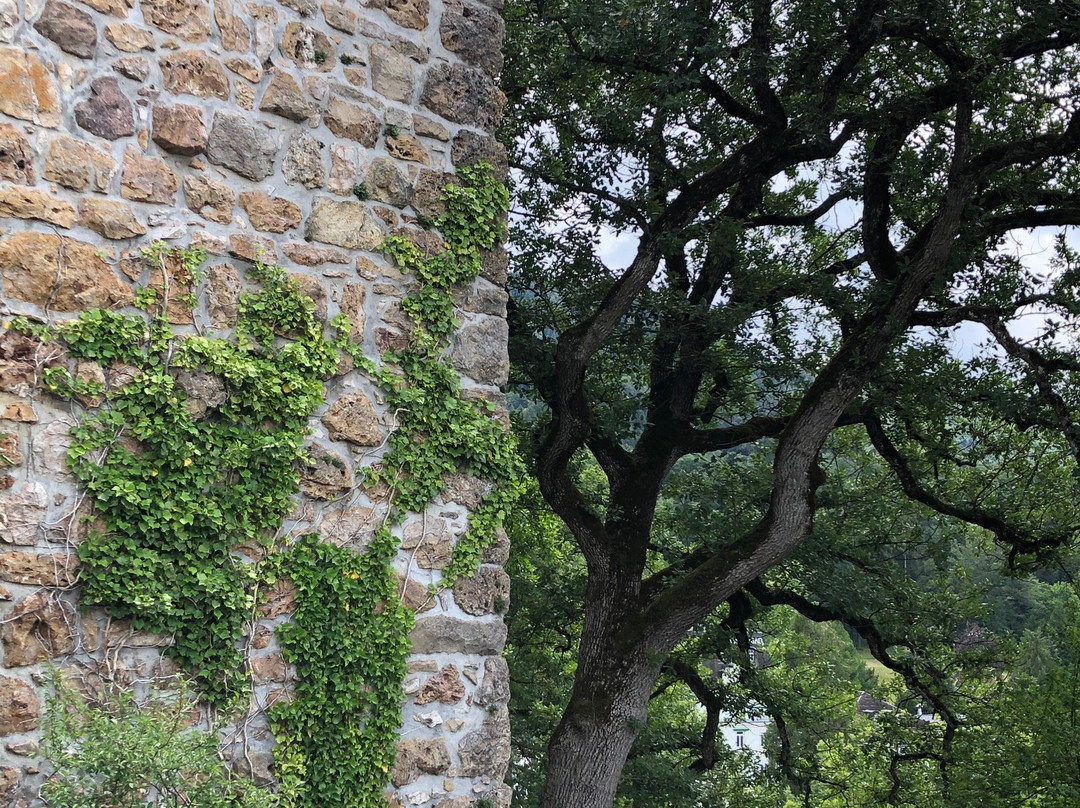 Burg Badenweiler景点图片