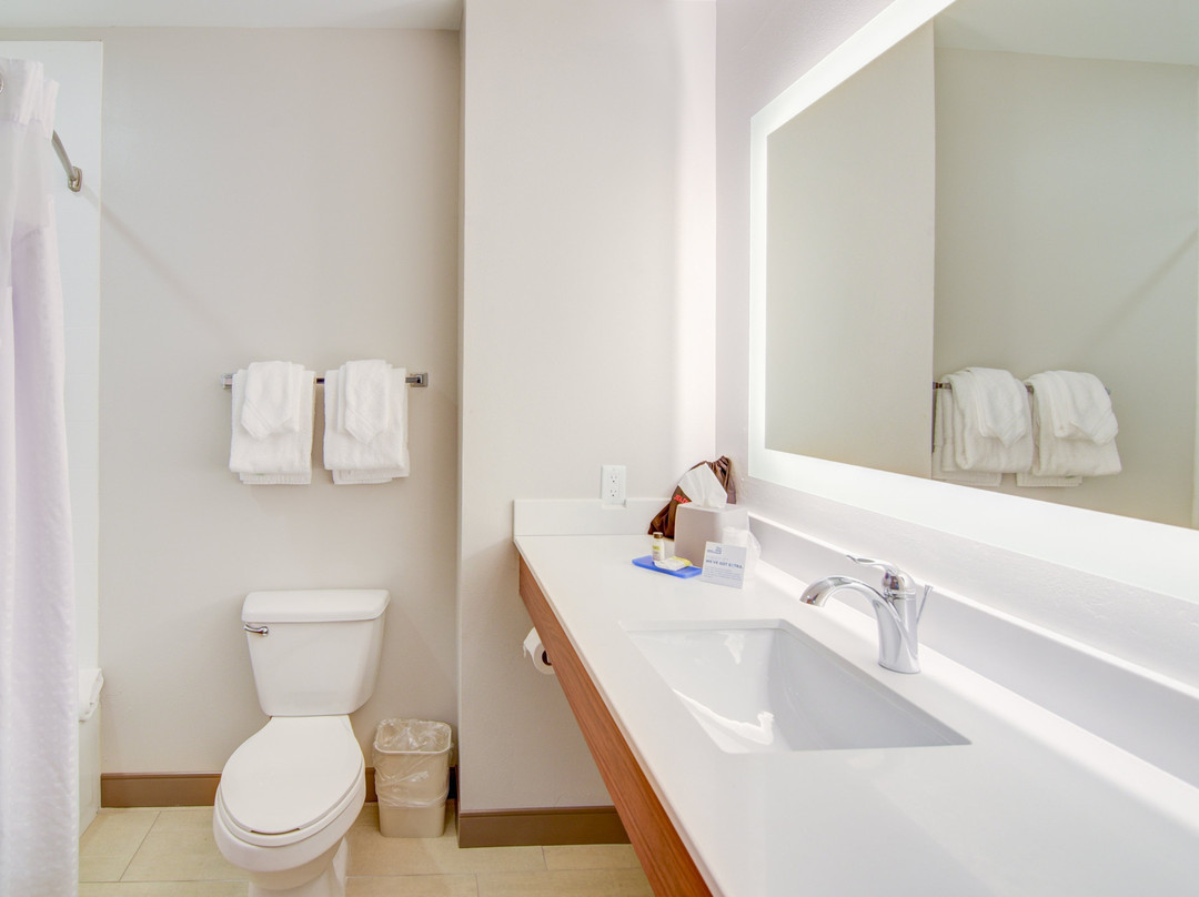 弗利快捷假日&套房酒店主图