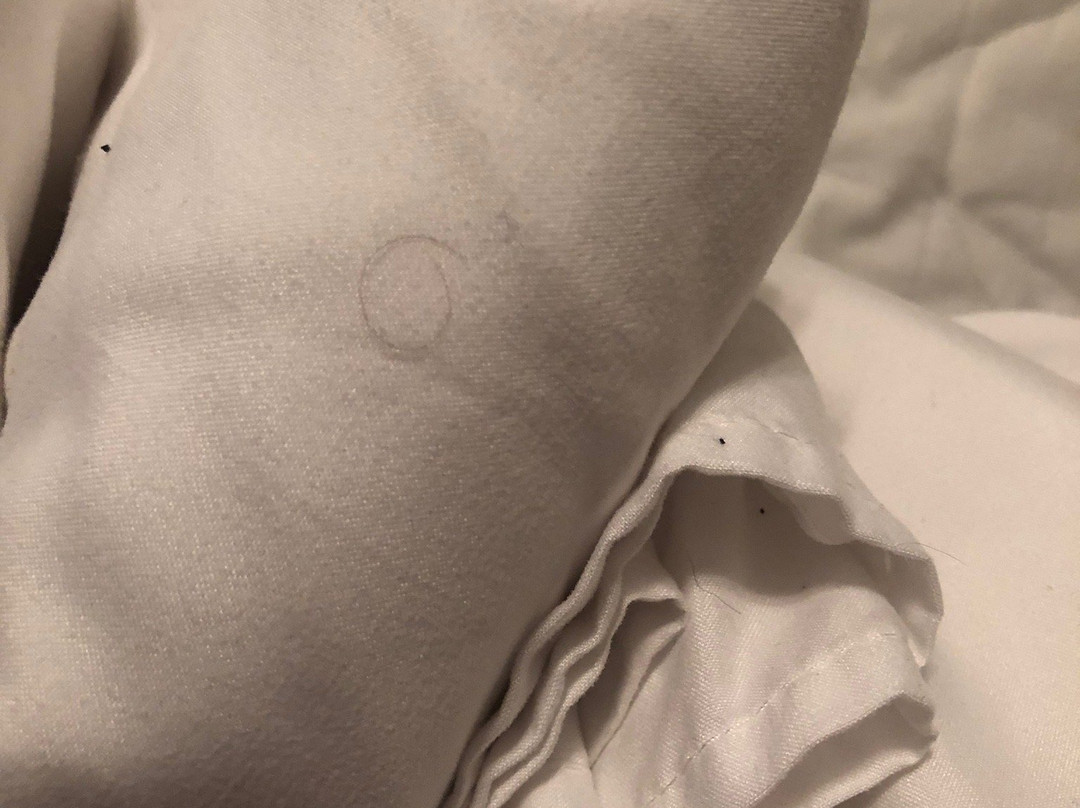 Anchor Inn and Suites主图