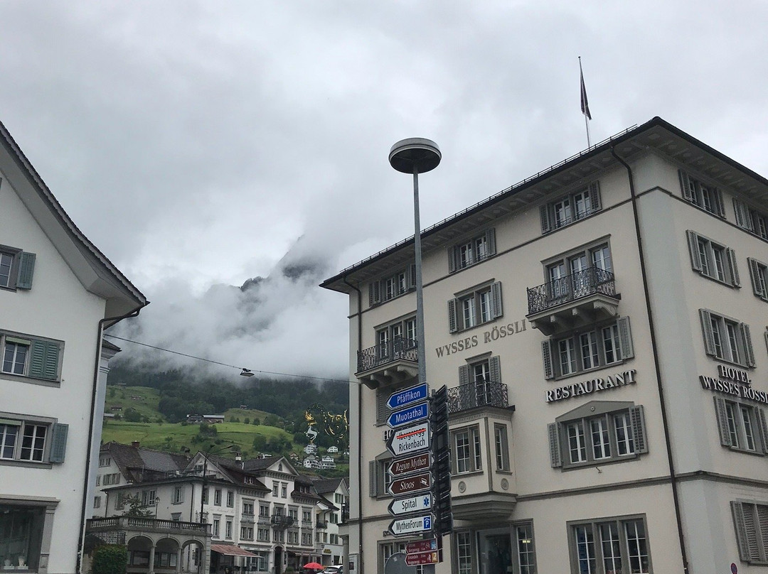 Hotel Wysses Rossli主图
