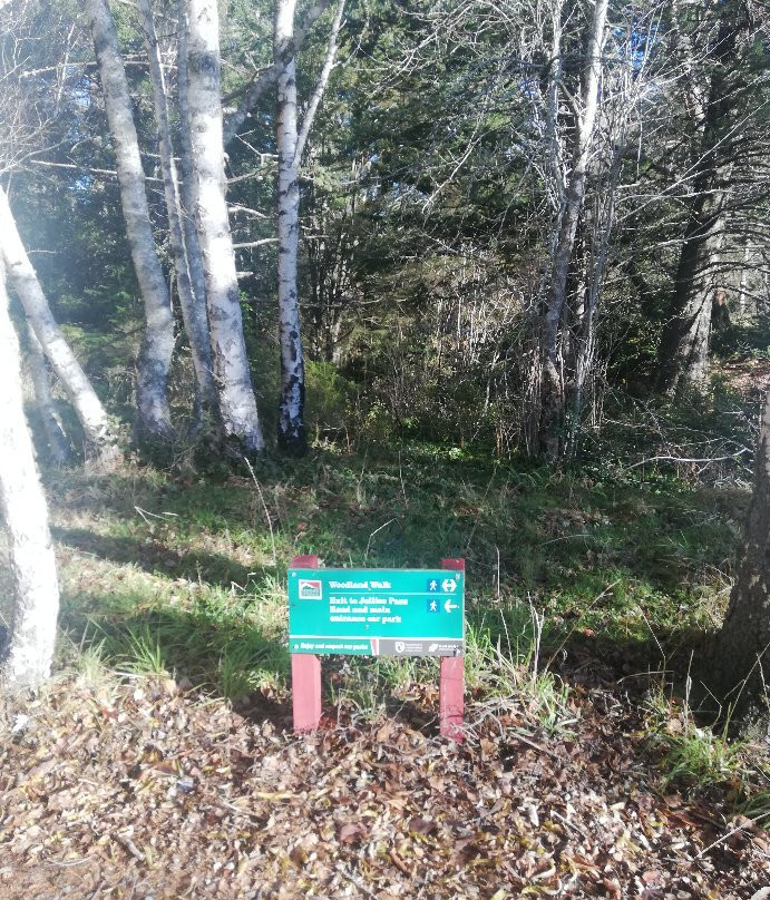 Woodland Walk-汉默温泉必去景点