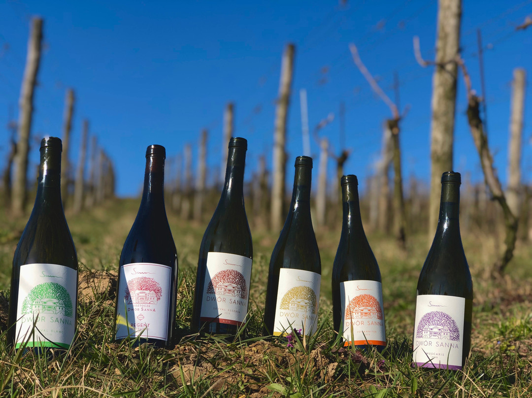 Janow Lubelski酒店住宿-Dwór Sanna