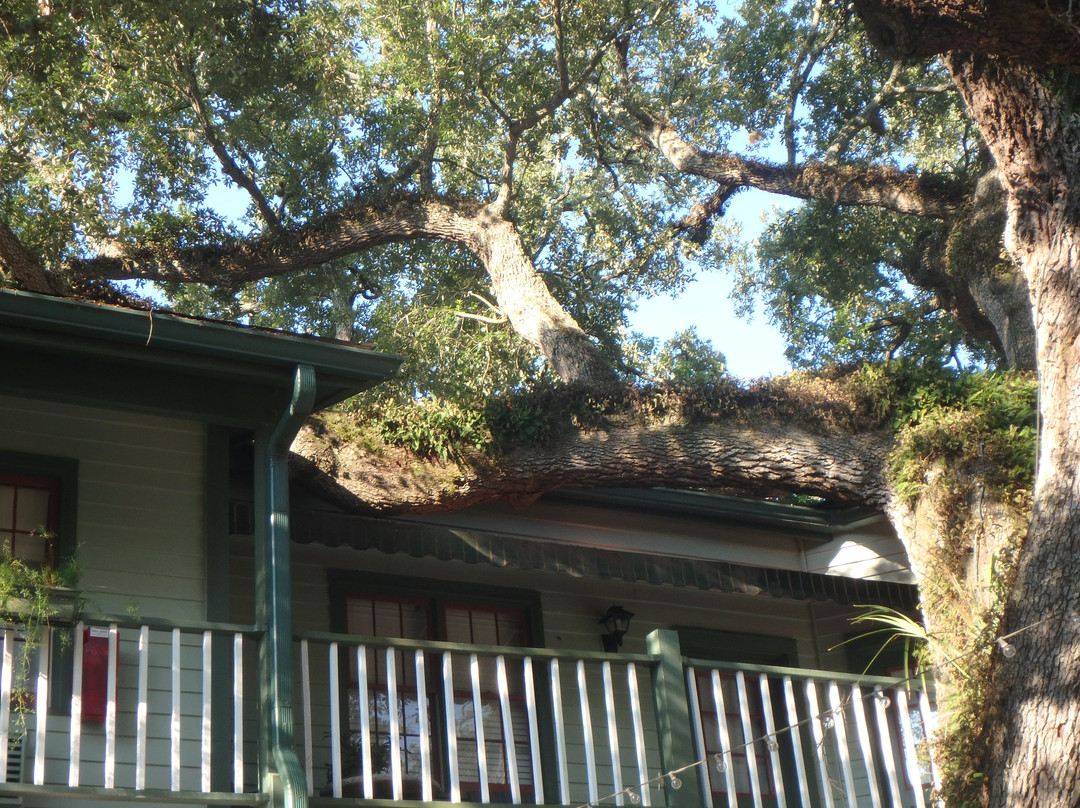 Florida House Inn主图