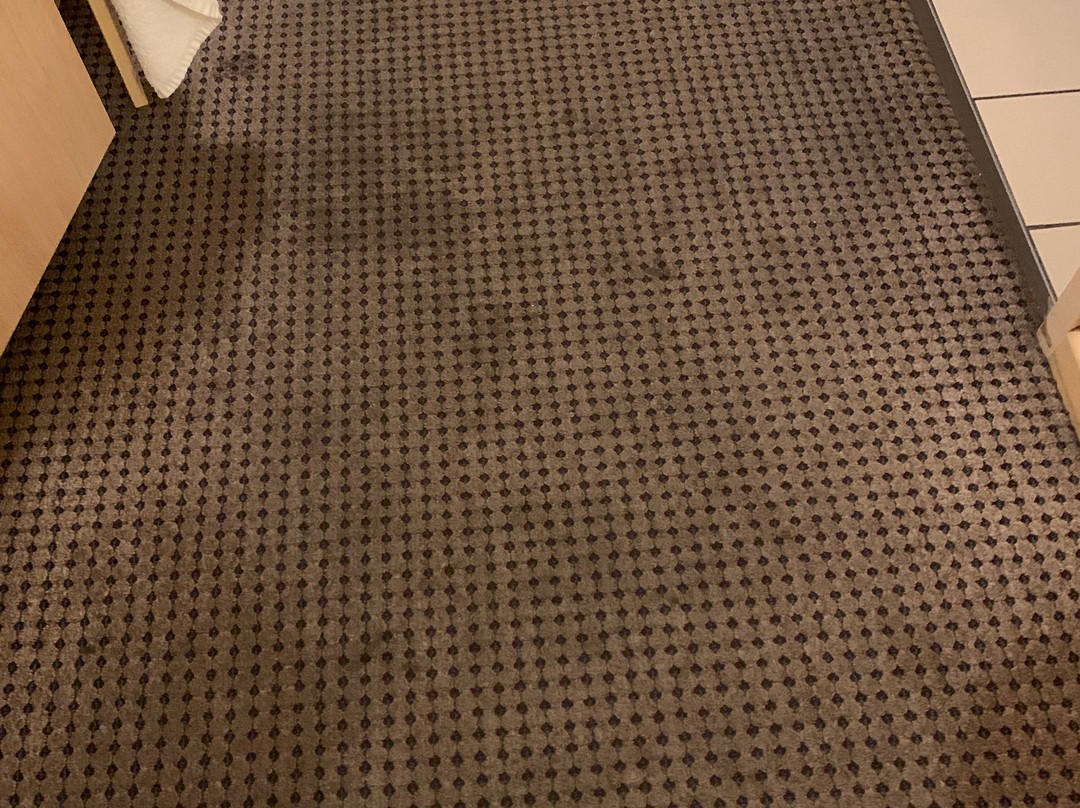 Nightcap at Horse & Jockey Hotel Warrick主图