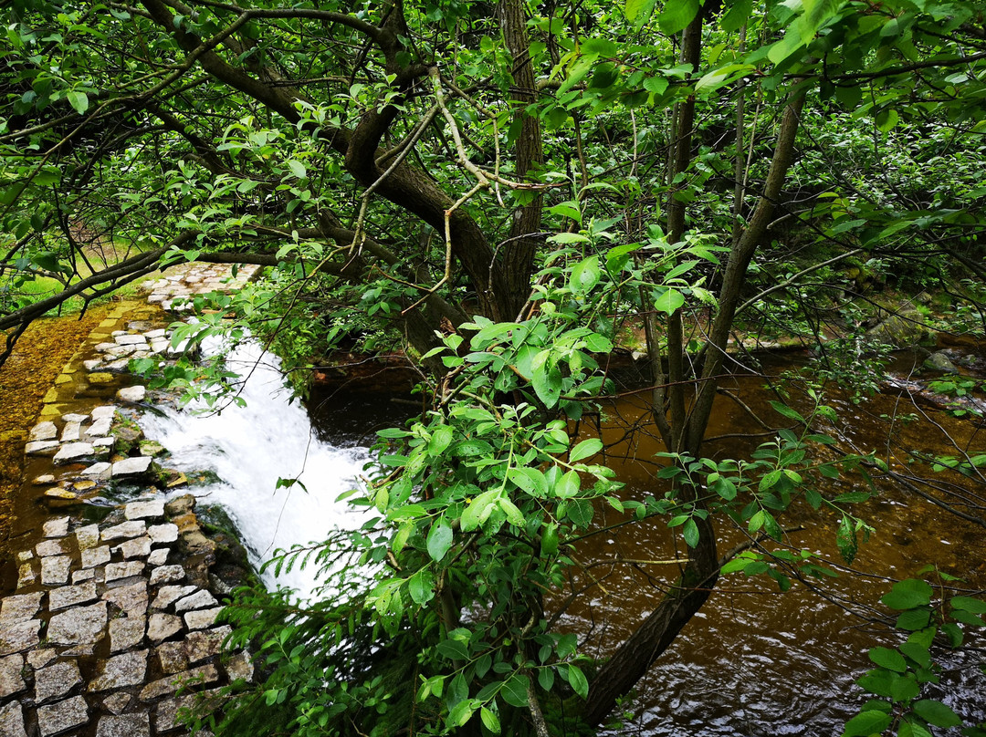 Wodospad Kwisa景点图片