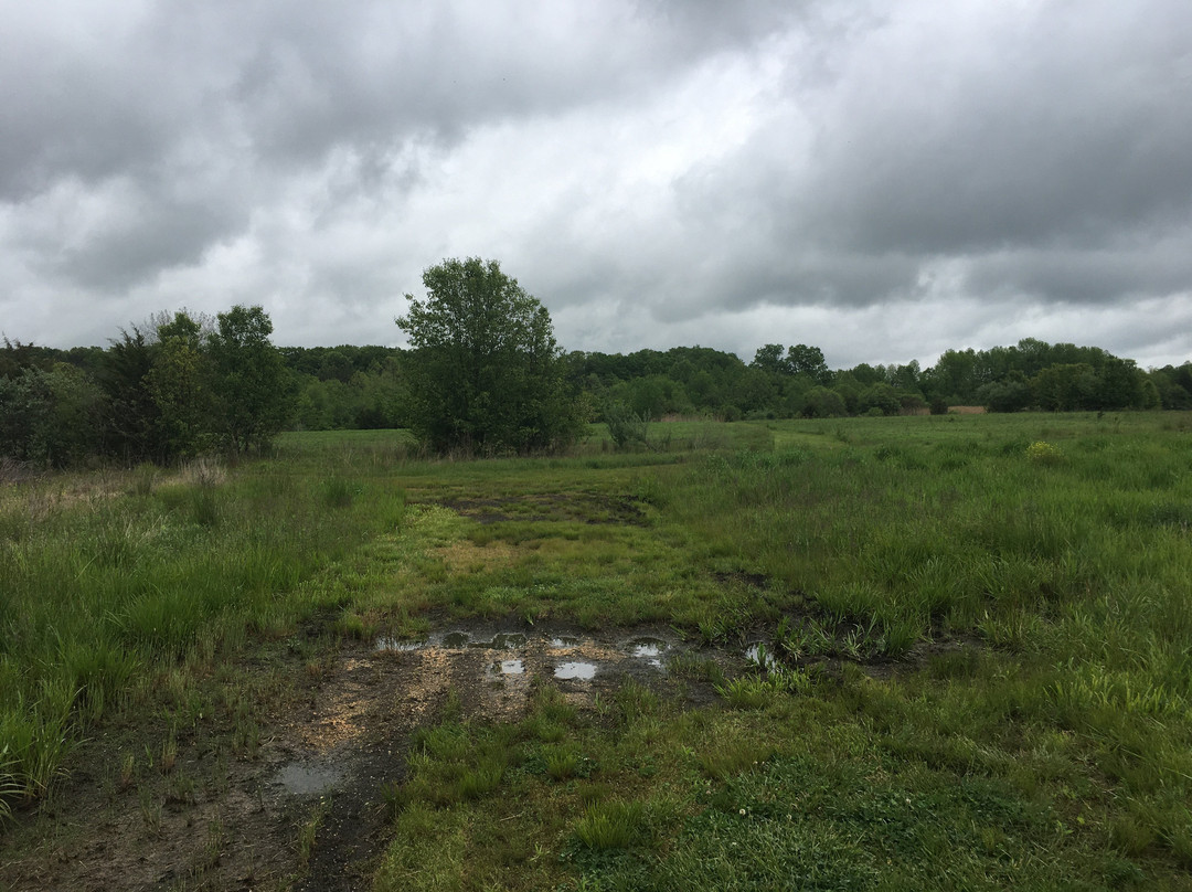 Crosswicks Creek Park景点图片